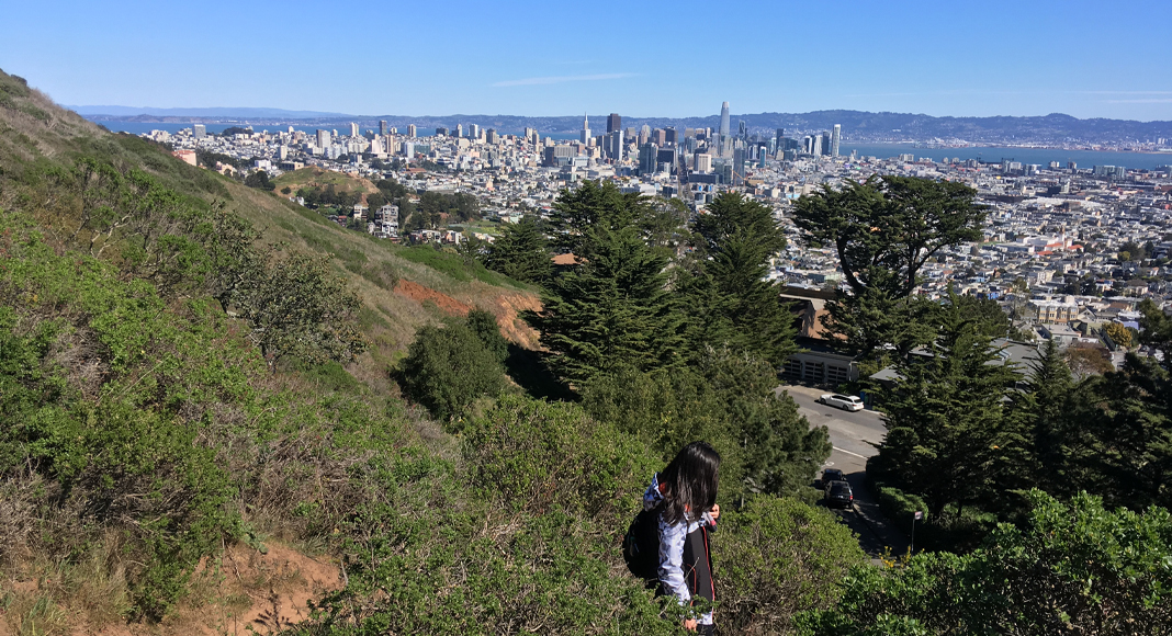 Randonnée à San Francisco. Twin Peaks à pied et en français, exclusif. Guide professionnel(le).