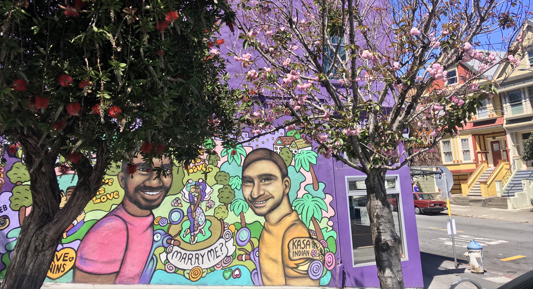 Quartiers de San Francisco en français. Mission et Castro, street art et histoire LGBT. Guide professionnel(le).