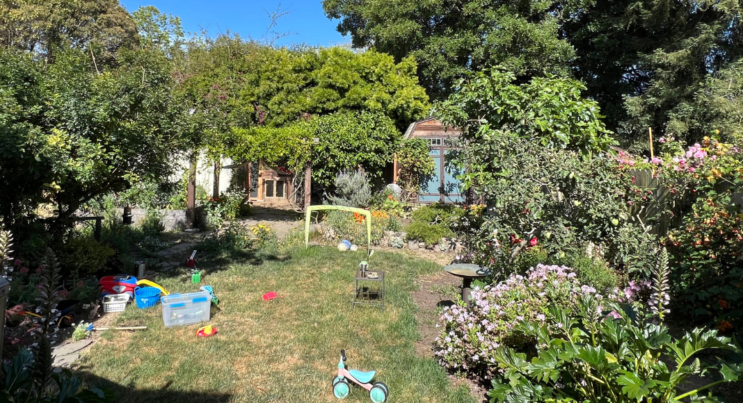 Le jardin © Petites Merveilles