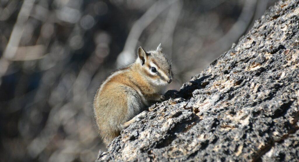 parc national