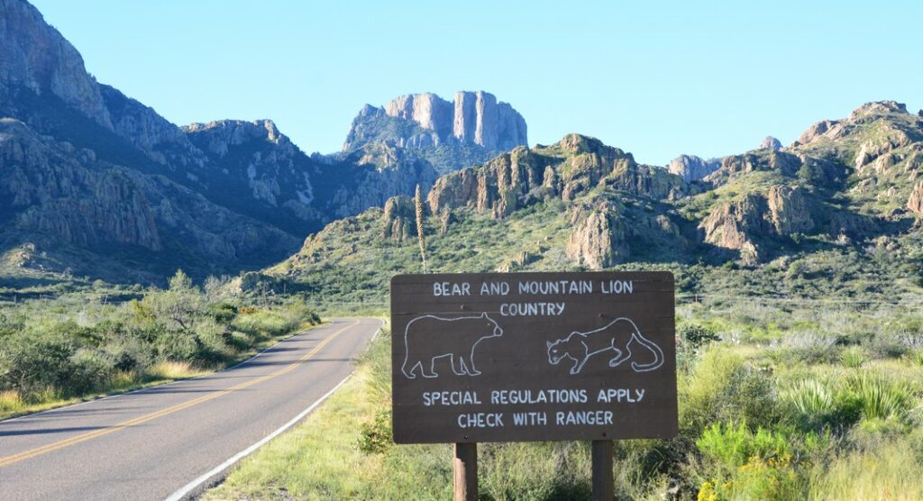 parc national américain