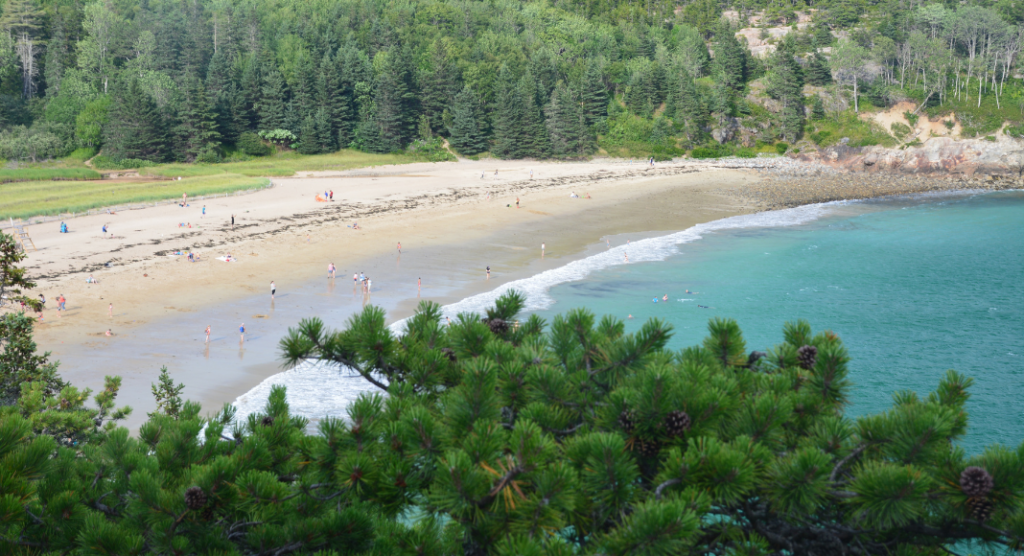 Sand Beach Acadia