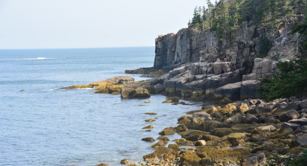 Côte escarpée Acadia