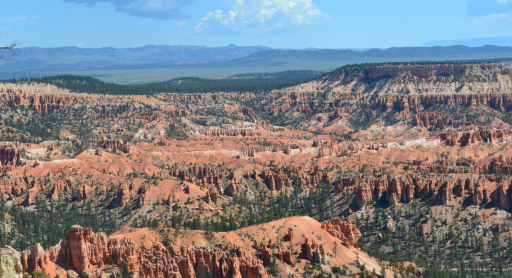 Point de vue Bryce Canyon