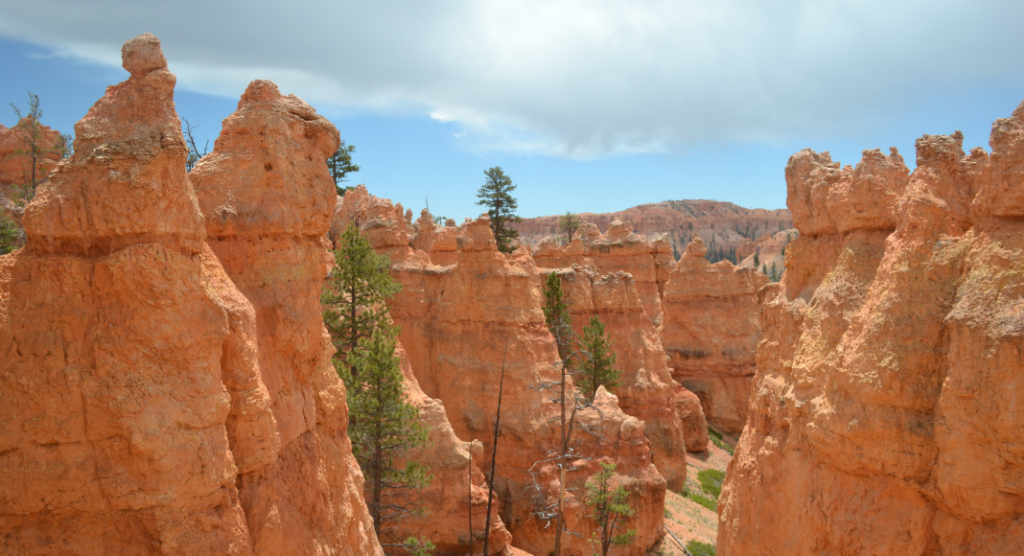 Au cœur de Bryce Canyon