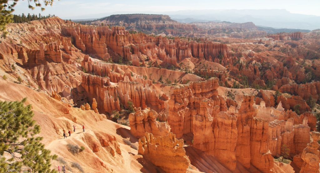 South Rim Rail Bryce Canyon