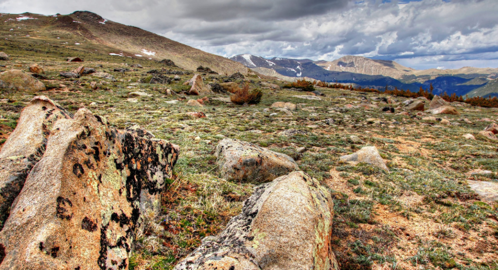 Toundra parc national Rocky Mountain